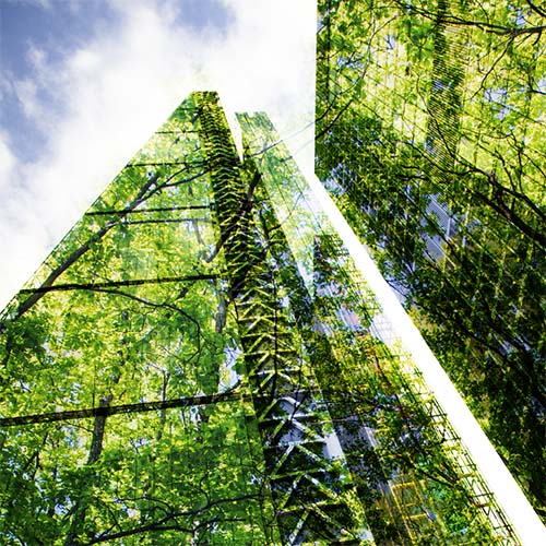 Livre blanc - Objectifs réduction de consommation énergétique : comment répondre au décret tertiaire ?