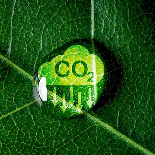 Compensation coûts indirects carbone - Dates clés