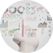 Infographies