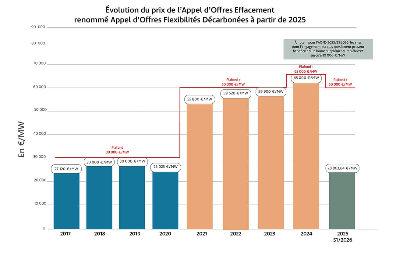 Appel d'offres flexibilités décarbonées