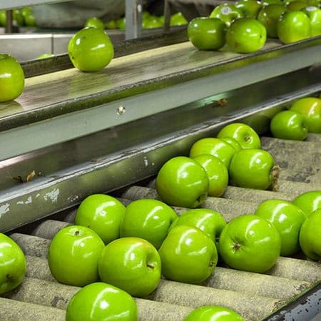 Flexibilité électrique fruits